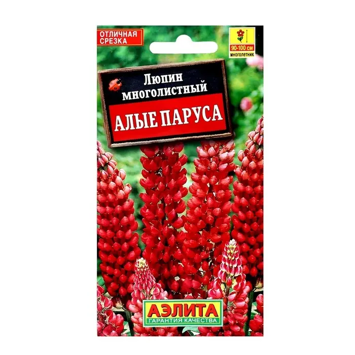 Семена цветов Люпин "Алые паруса" многолетний, ц/п, 15 шт Семена цветов Люпин "Алые паруса" многолетний, ц/п, 15 шт