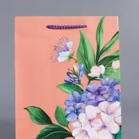 Пакет подарочный "Цветы эмоций" ламинированный 18 х 22,3 х 10 см