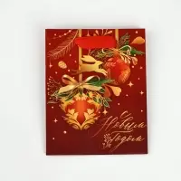 Набор пакетов ламинированных «Чудесного праздника!» Набор пакетов ламинированных «Чудесного праздника!»