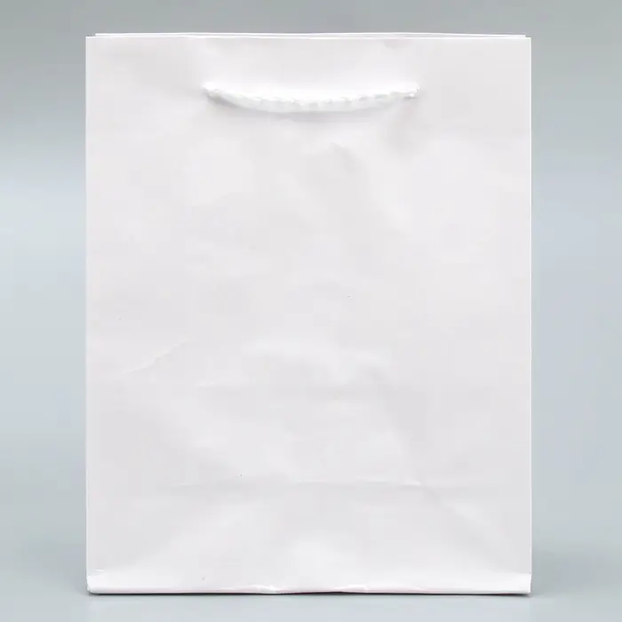 Пакет подарочный ламинированный, упаковка, «Белый», S 12 х 15 х 5.5 см