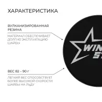 Шайба хоккейная Winter Star, детская, d=6 см