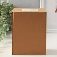 Сувенир полистоун свет "Ганеша в арке" прозрачный 10х10х18,5 см