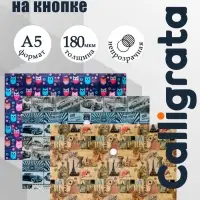 Папка-конверт на кнопке, А5, 180 мкм, МИКС