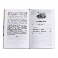 Внеклассное чтение "Слово о полку Игореве" 6+