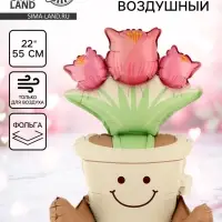 Шар воздушный фольгированный 22" &laquo;Цветок в горшке&raquo;, матовый, под воздух
