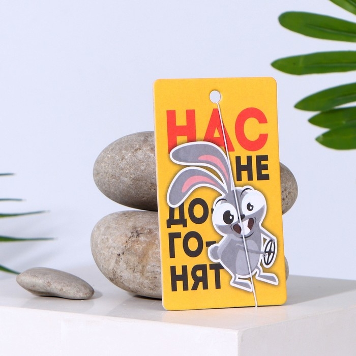 Ароматизатор в авто «Нас не догонят», аромат: цитрус Ароматизатор в авто «Нас не догонят», аромат: цитрус