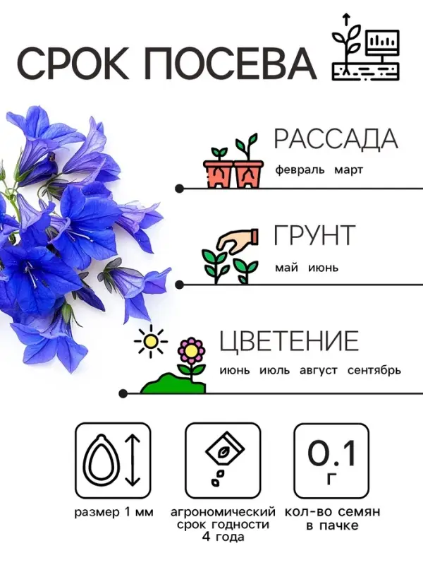 Семена цветов Лобелия  Семена цветов Лобелия "Император Вильям", 0,1 г