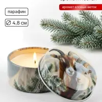 Свеча ароматическая, в железной банке &laquo;Пара&raquo;, еловые ветки, d=4.8 см