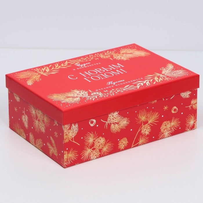 Набор подарочных коробок 10 в 1 «Время чудес», 12 х 7 х 4 - 32.5 х 20 х 12.5 см, Новый год