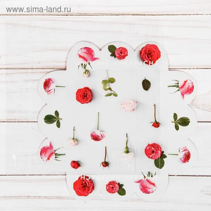 Коробка для печенья, кондитерская упаковка с PVC крышкой, &laquo;Жизнь прекрасна&raquo;, 10.5 х 10.5 х 3 см