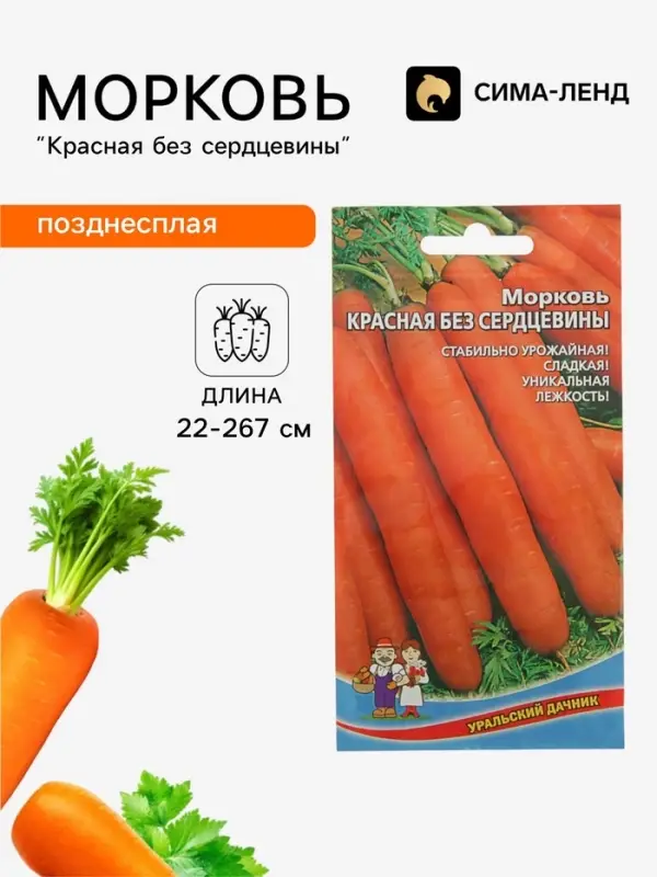 Семена Морковь &laquo;Красная без сердцевины&raquo;, 2 г, &laquo;Уральский дачник&raquo;