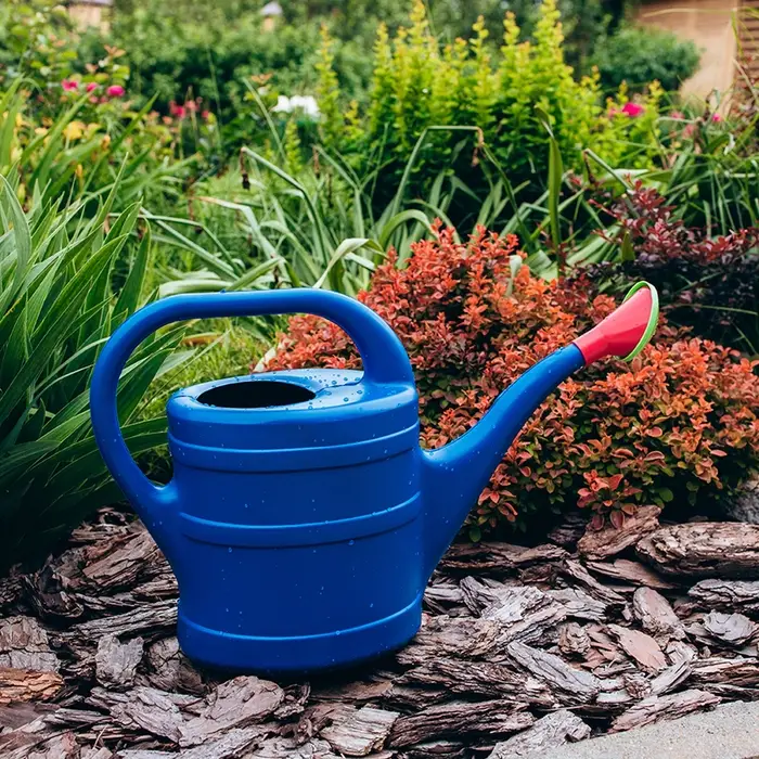 Лейка, 10 л, с рассеивателем, носик d=35 мм, цвет МИКС, &laquo;Классика&raquo;