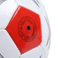 Футбольный мяч ONLYTOP, машинная сшивка, 32 панели, р. 5, PVC