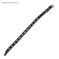 Ошейник кожаный на синтепоне, безразмерный, 37&times;1.5 см, ОШ 21-31 см, синий