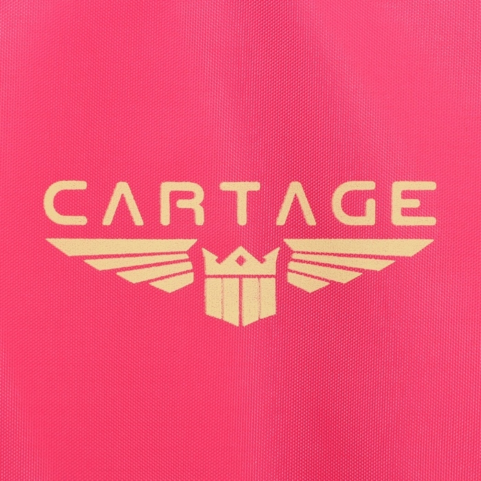 Термосумка Cartage Т-23, розовый, 18 л, 35х21х24 см Термосумка Cartage Т-23, розовый, 18 л, 35х21х24 см