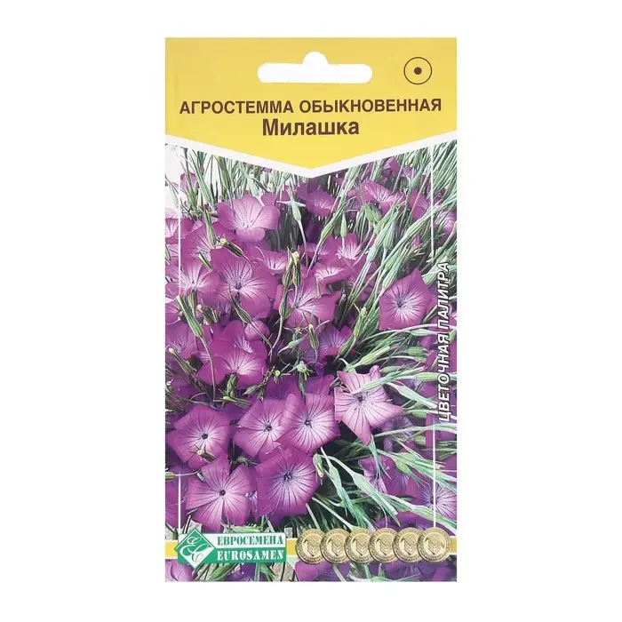 Семена Цветов Агростемма обыкновенная Милашка , 0,5 г Семена Цветов Агростемма обыкновенная Милашка , 0,5 г