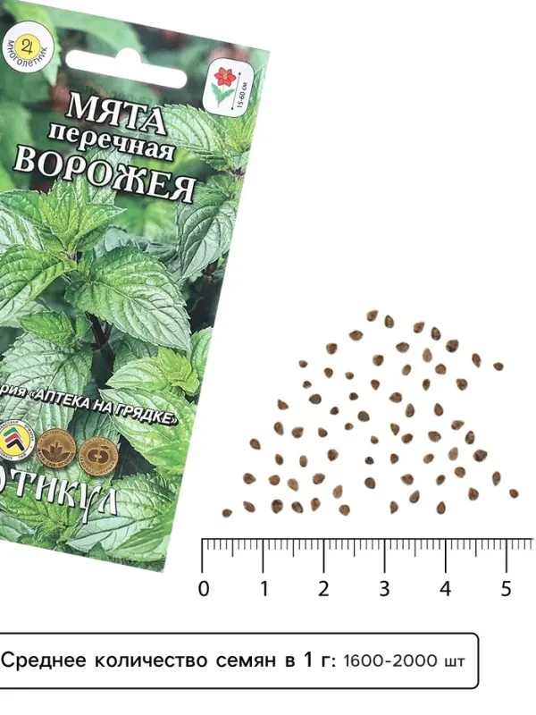 Семена Мята перечная &laquo;Ворожея&raquo;, 0.03 г, &laquo;Артикул&raquo;