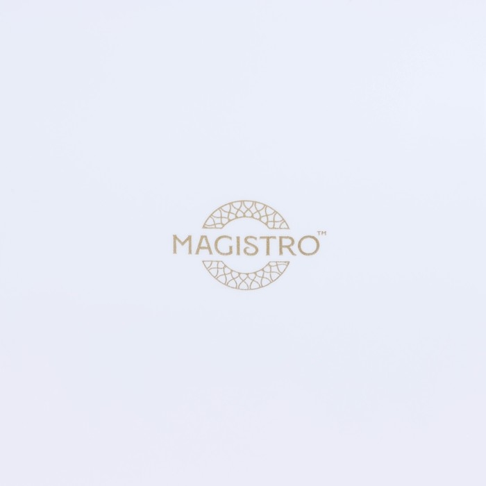 Овощерезка универсальная Magistro Vegan pro, 7 насадок, овощечистка, контейнер, цвет чёрно-белый Овощерезка универсальная Magistro Vegan pro, 7 насадок, овощечистка, контейнер, цвет чёрно-белый