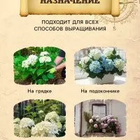 Грунт для Азалий, Рододендронов, Гортензий PETER PEAT, линия &laquo;Хобби&raquo;, 2.5 л