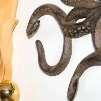 Крючки настенные &laquo;Осьминог&raquo;, ключница декоративная, чугун, 24.8&times;18.4&times;2.6 см