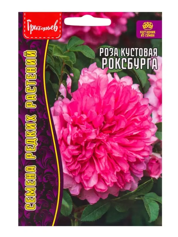 Семена цветов Роза Роксбурга кустовая 10 шт.  12.29 г.