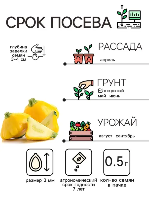 Семена Патиссон  Семена Патиссон "Солнышко", 0,5 г