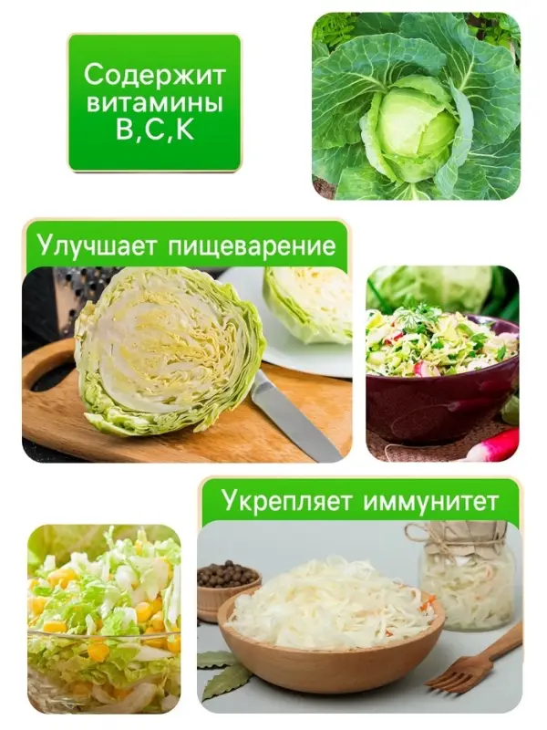 Семена Капуста белокочанная  Семена Капуста белокочанная "Белорусская 455", 0,3 г
