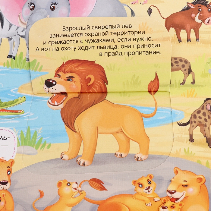 Книжка с окошками «Виммельбух. Животные» Книжка с окошками «Виммельбух. Животные»