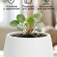 Горшок цветочный &laquo;Япония&raquo;, 2 л, d=18 см, h=15 см, пластиковый, с поддоном, белый