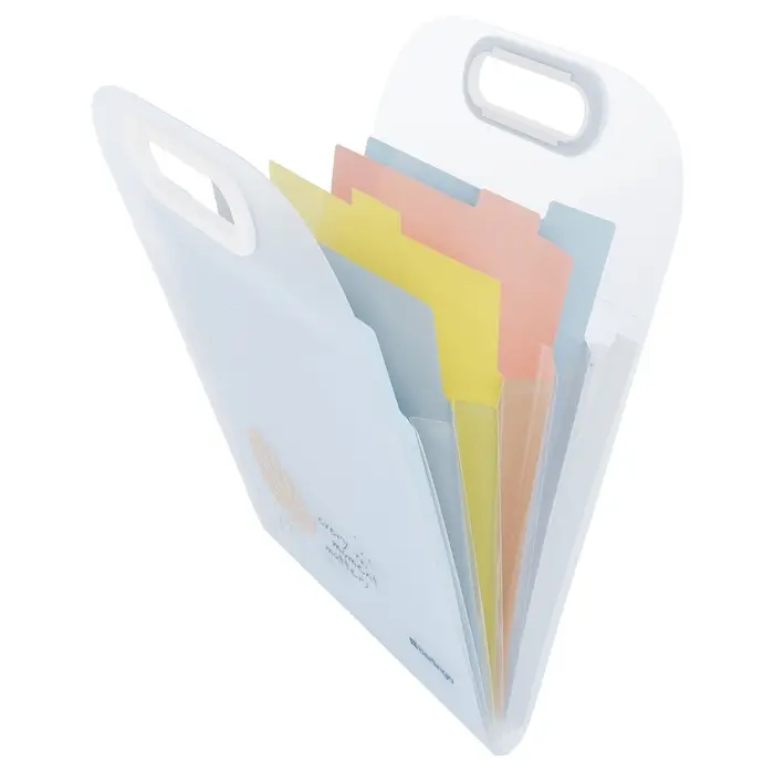 Папка А4, 6 отделений, Eco, 650 мкм, вертикальная, с ручкой, прозрачная, с рисунком