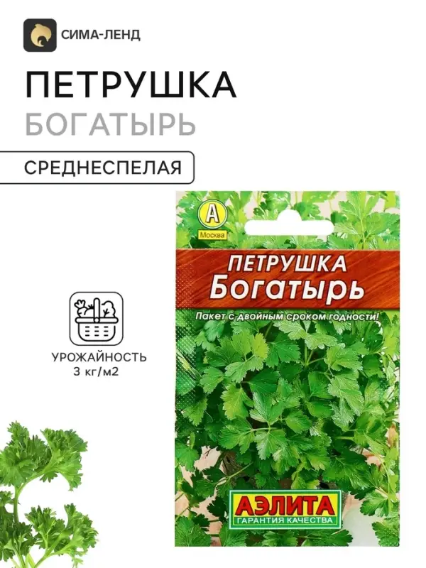 Семена Петрушка листовая &laquo;Богатырь&raquo; 2 г