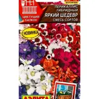 Семена цветов Перикаллис Яркий шедевр, смесь сортов Мн Цветущий балкон, Ц/П,30 шт. Семена цветов Перикаллис Яркий шедевр, смесь сортов Мн Цветущий балкон, Ц/П,30 шт.