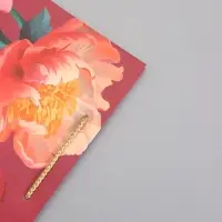 Пакет подарочный "Яркий акцент" ламинированный 26 х 12 х 32 см