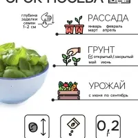 Семена Базилик &laquo;Крупнолистный&raquo;, 0.2 г, &laquo;Рецепты дедушки Никиты&raquo;