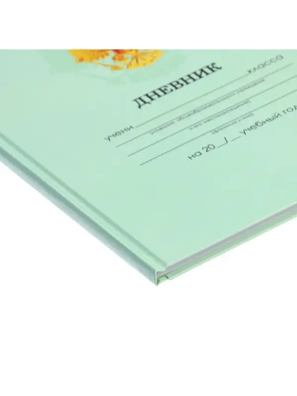 Дневник школьный для 1-11 классов, &laquo;Зелёный нежный однотонный&raquo;, твёрдая обложка 7БЦ, глянцевая ламинация, 40 листов