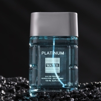 Туалетная вода мужская Platinum Water, 100 мл (по мотивам Blue Label (Givenchy)