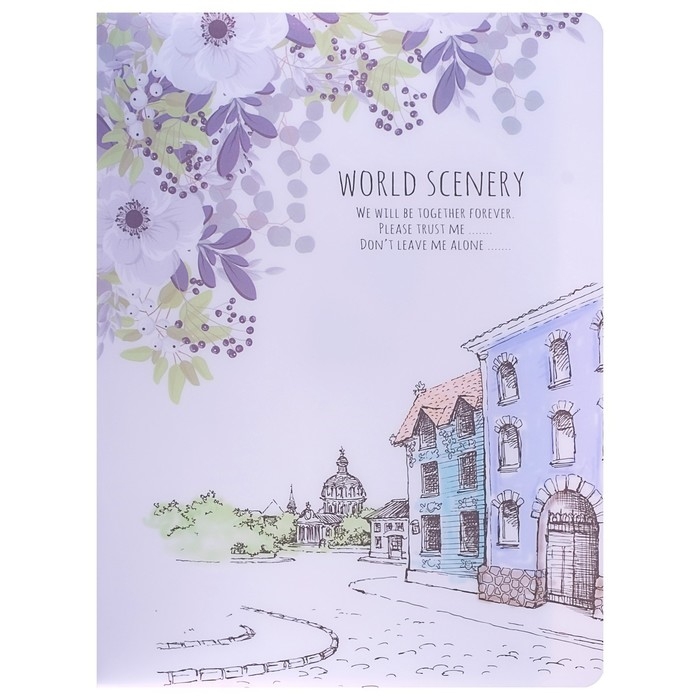 Папка А4, Папка А4, "Города" 30 прозрачных файлов, пластик, 400 мкм, МИКС