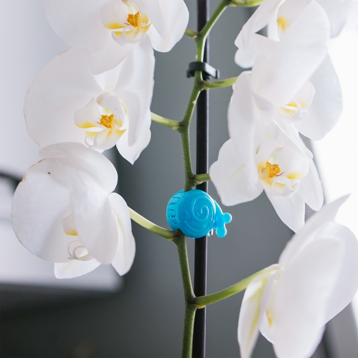 Клипса для растений «Улитка», набор 10 шт., МИКС, Greengo