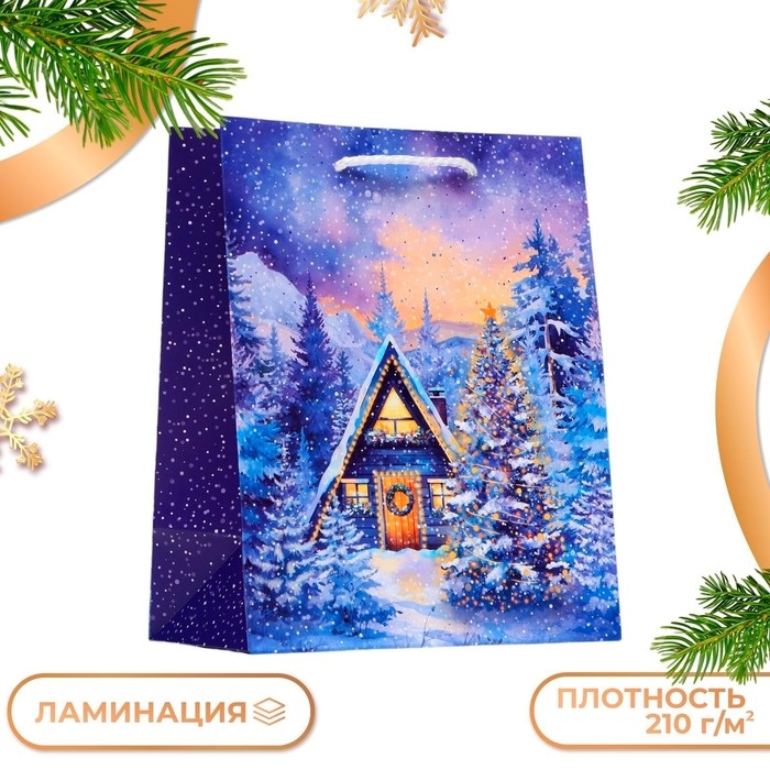 Новый год. Пакет подарочный  Новый год. Пакет подарочный "Зимний дом", 18 х 22,3 х 10 см.