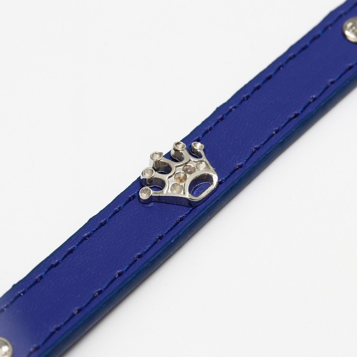 Ошейник Ошейник "Корона" с металлическим декором и со стразами, 36 х 1,4 см, ОШ 24-31, синий
