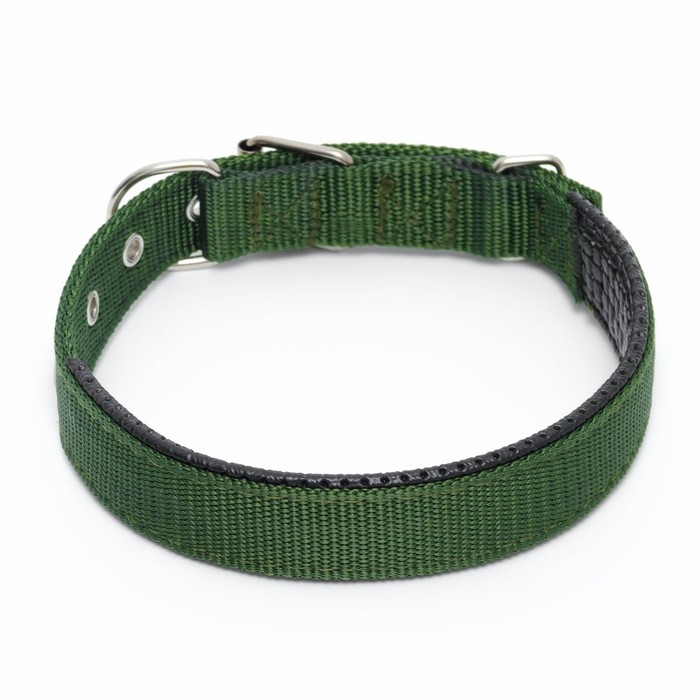 Ошейник Ошейник "Комфорт" комбинированный, 55 х 2,5 см, ОШ 40-50 см, зелёный