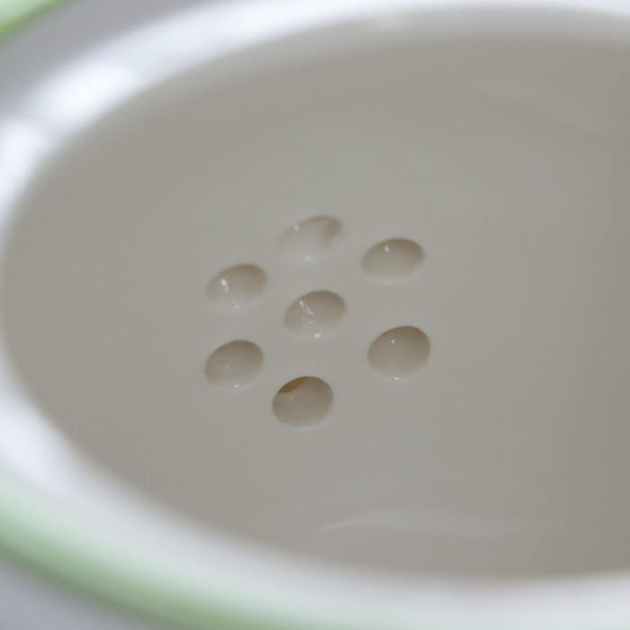 Чайник фарфоровый заварочный Доляна «Зелёный сад», 900 мл Чайник фарфоровый заварочный Доляна «Зелёный сад», 900 мл