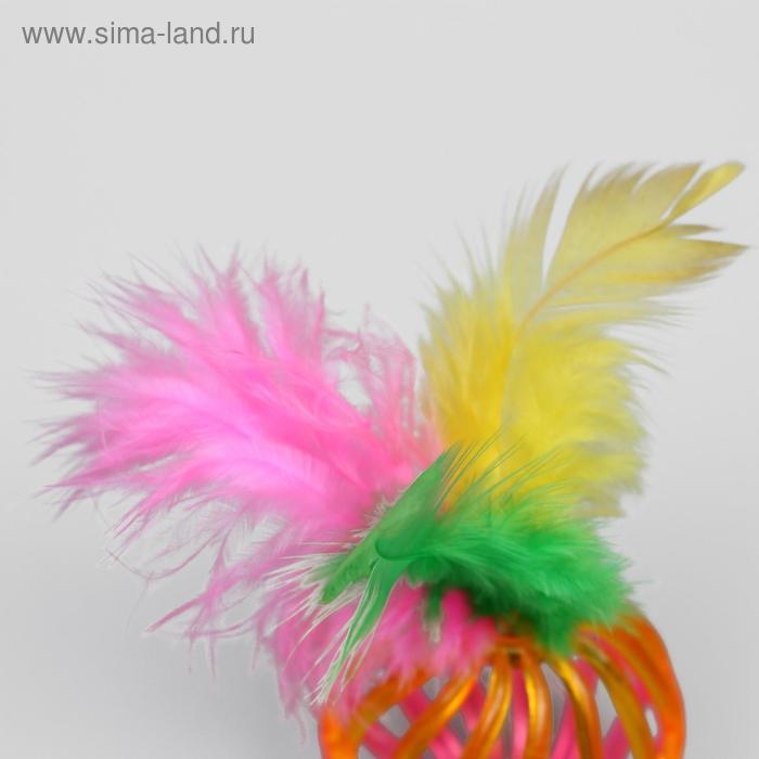 Набор из 2 шариков  Набор из 2 шариков "Завитушки с пером", каждый 4 см, микс цветов