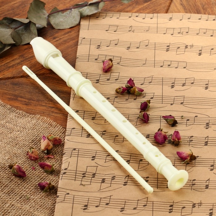 Блокфлейта Music Life, бежевая, немецкая система, сопрано, 30 см Блокфлейта Music Life, бежевая, немецкая система, сопрано, 30 см