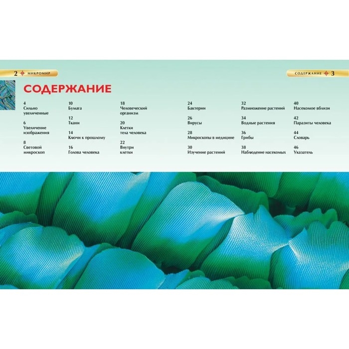 Детская энциклопедия «Микромир» Детская энциклопедия «Микромир»
