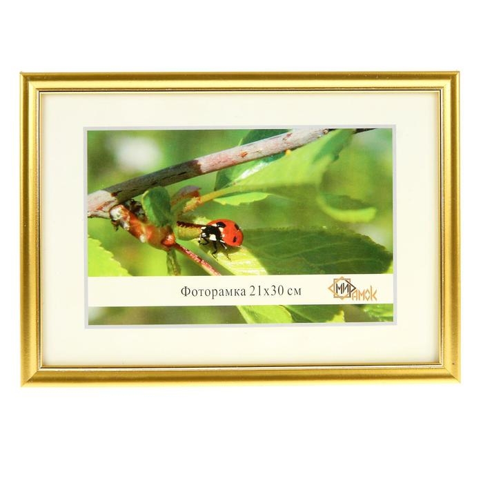 Фоторамка 1017-1056 формат А4 (21х30 см) Фоторамка 1017-1056 формат А4 (21х30 см)