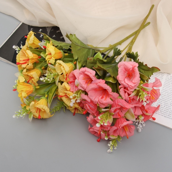 Букет Букет "Радермахера" 30 см, микс