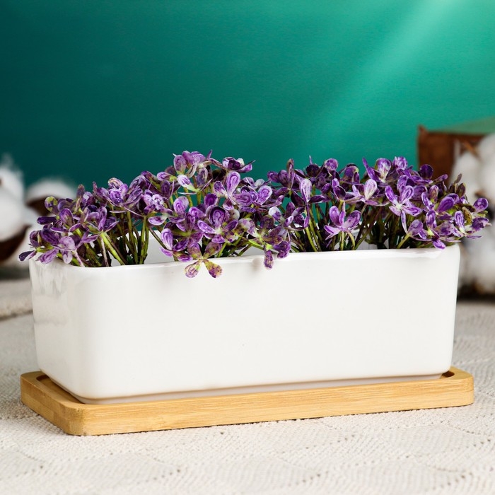 Горшок Горшок "Бонсайка" для кактусов и суккулентов, 17х8х6см