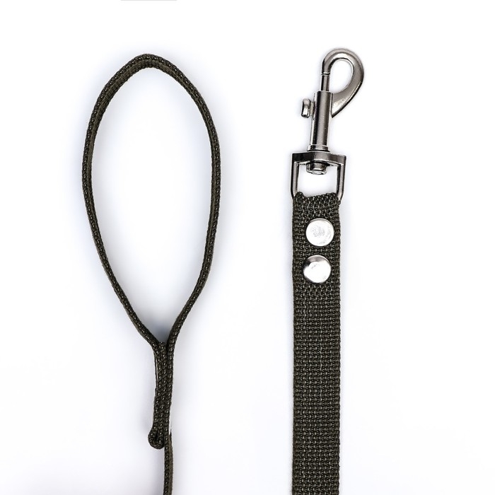 Поводок брезентовый 2 м х 2 см, тёмно-зелёный Поводок брезентовый 2 м х 2 см, тёмно-зелёный