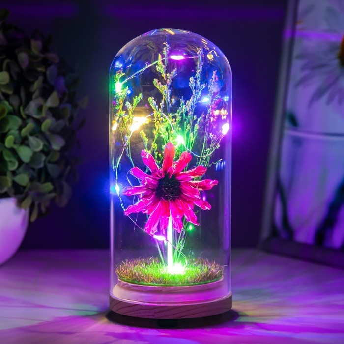 Ночник колба Ночник колба "Цветок" LED от батареек LR44 МИКС 8х8х19 см RISALUX